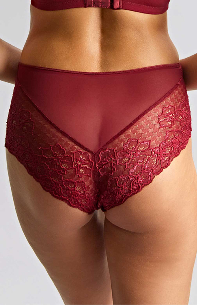 Braguita de Cintura Alta con Encaje Envy Sparkling Cherry 2