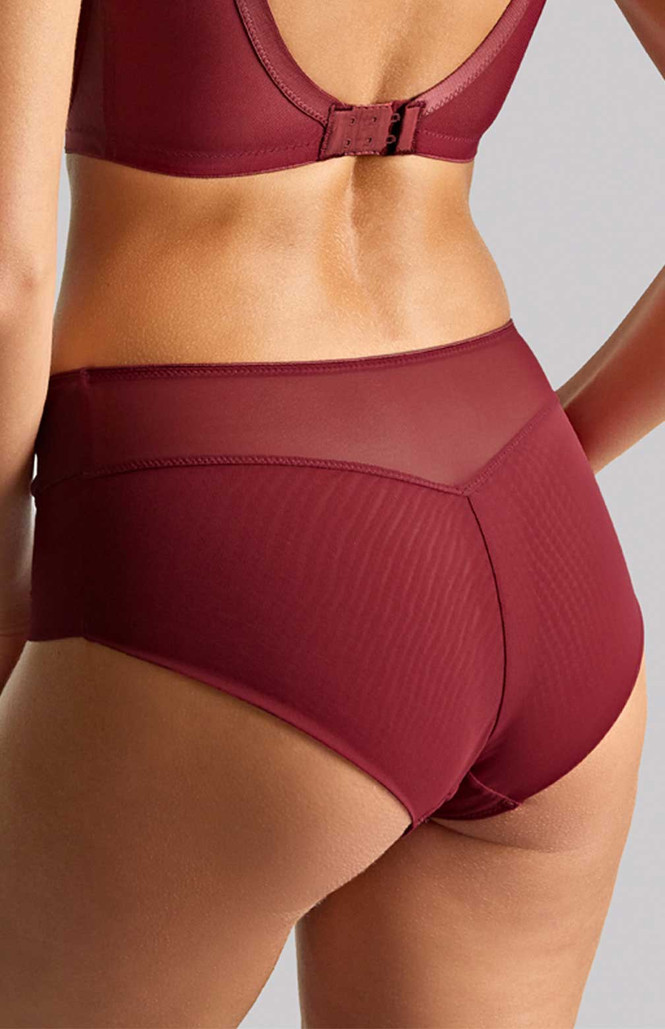 Tango Essence Cherry Red High Waist Brief 2