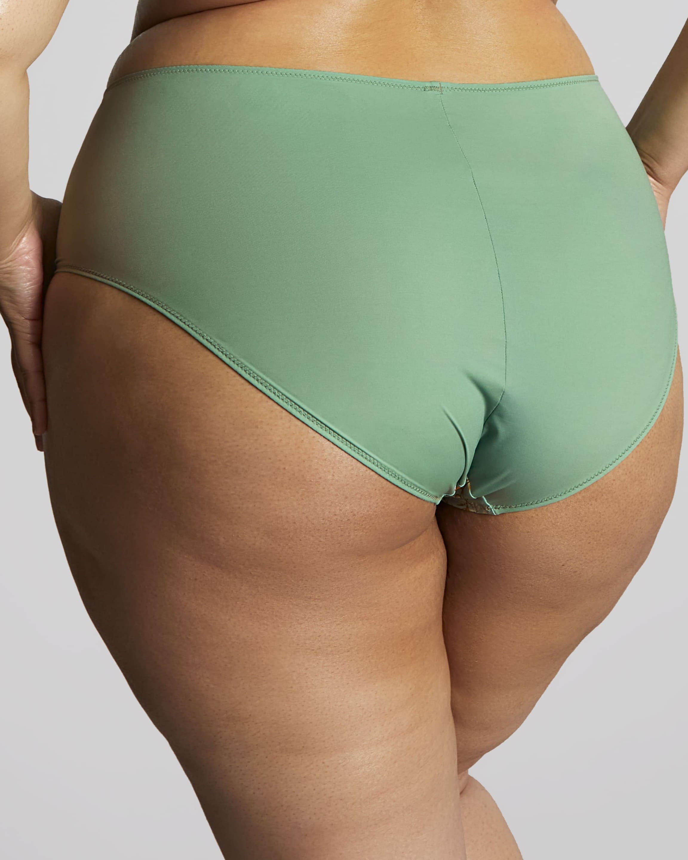 Cueca Clássica de Cintura Média Esme Wonderland 2