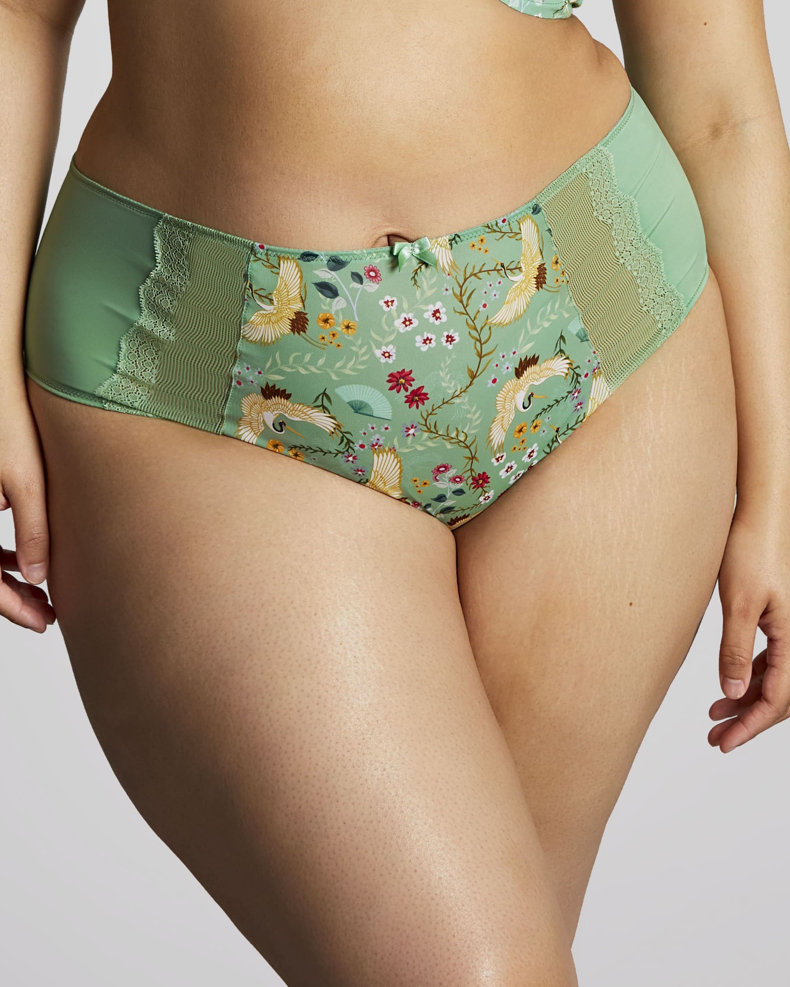 Cueca Clássica de Cintura Média Esme Wonderland 1