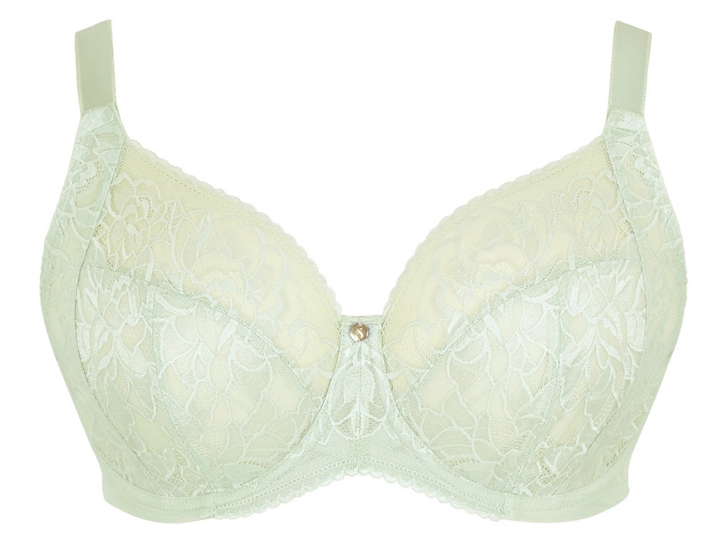 Non-Padded Full Cup Bra With Lace Dream Pistachio