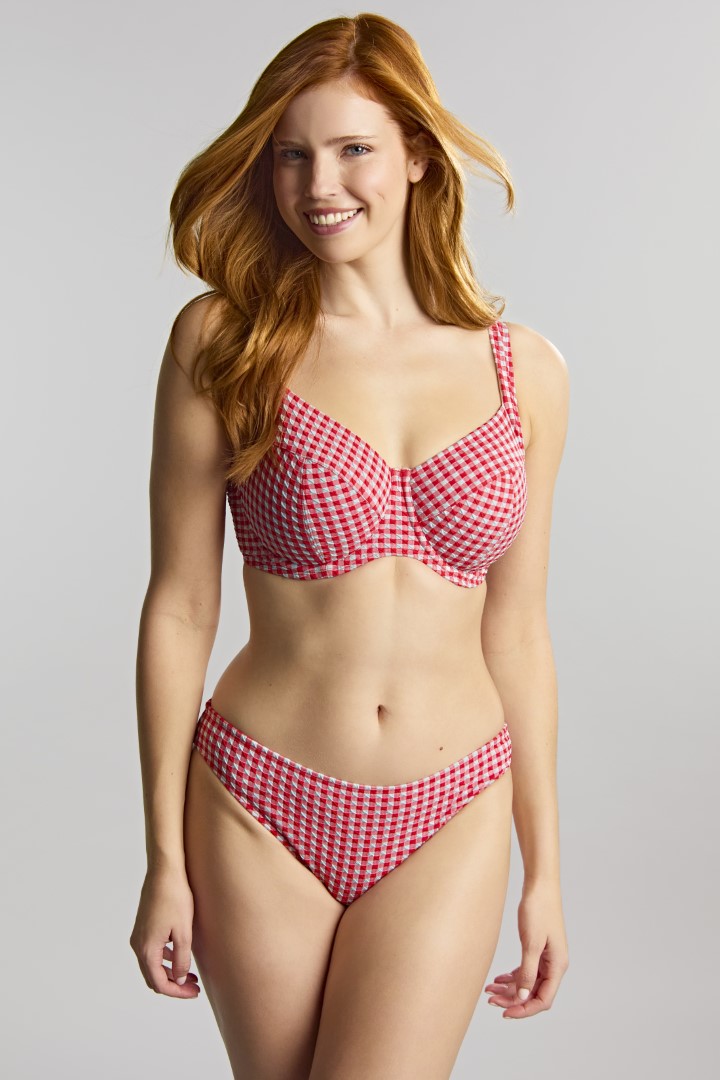 Olivia Red Gingha Classic Bikini Brief 1