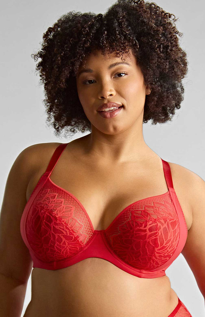 Sophia Red Lace Plunge Soft Cup Bra 1