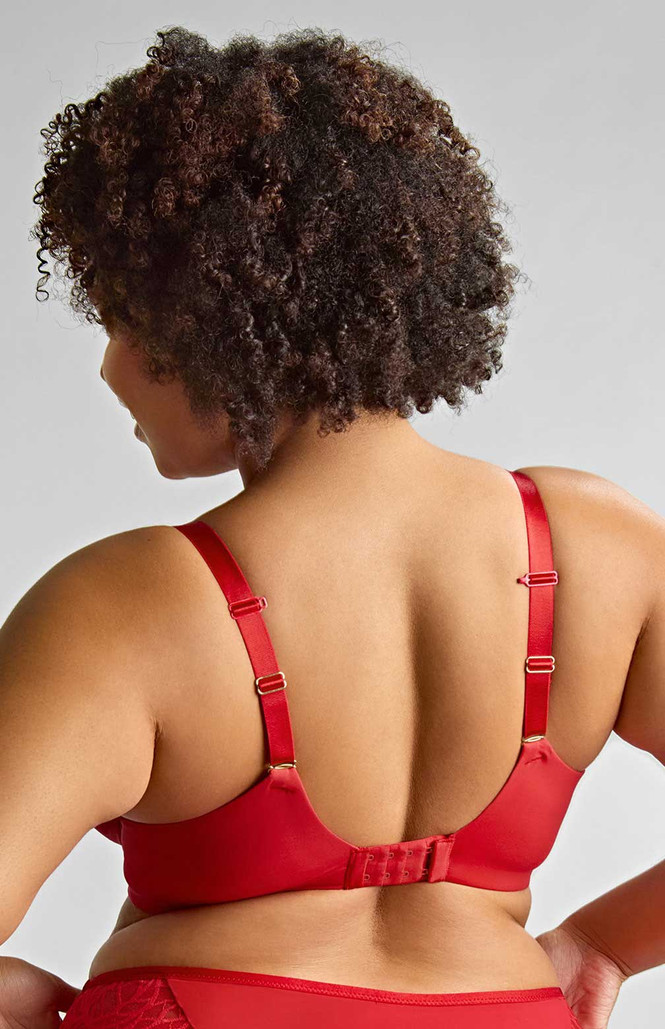 Sophia Red Lace Plunge Soft Cup Bra 2