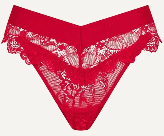 Cueca Asa Delta Em Renda Floral Signature Red