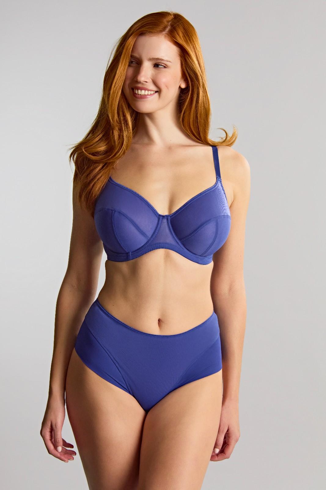 Tango Essence Indigo High Waist Brief 1