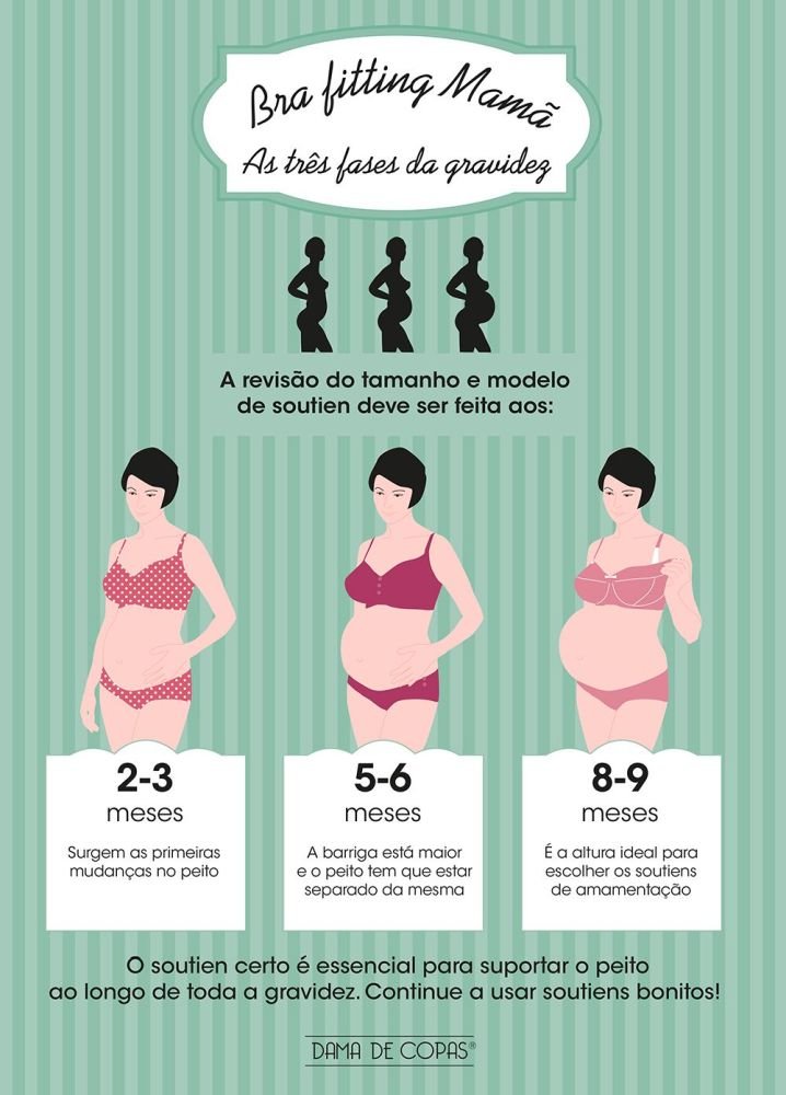 A gravidez: o tamanho certo nas diferentes fases!