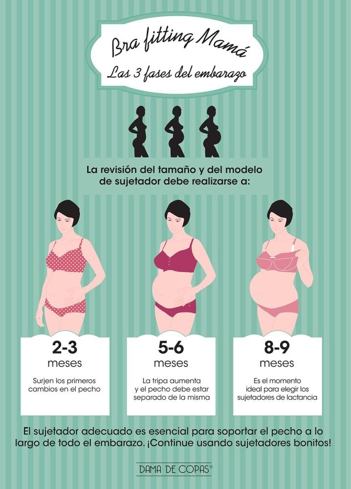 ¡Conoce el Bra Fitting Mamá!