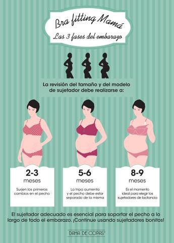 ¡Conoce el Bra Fitting Mamá!