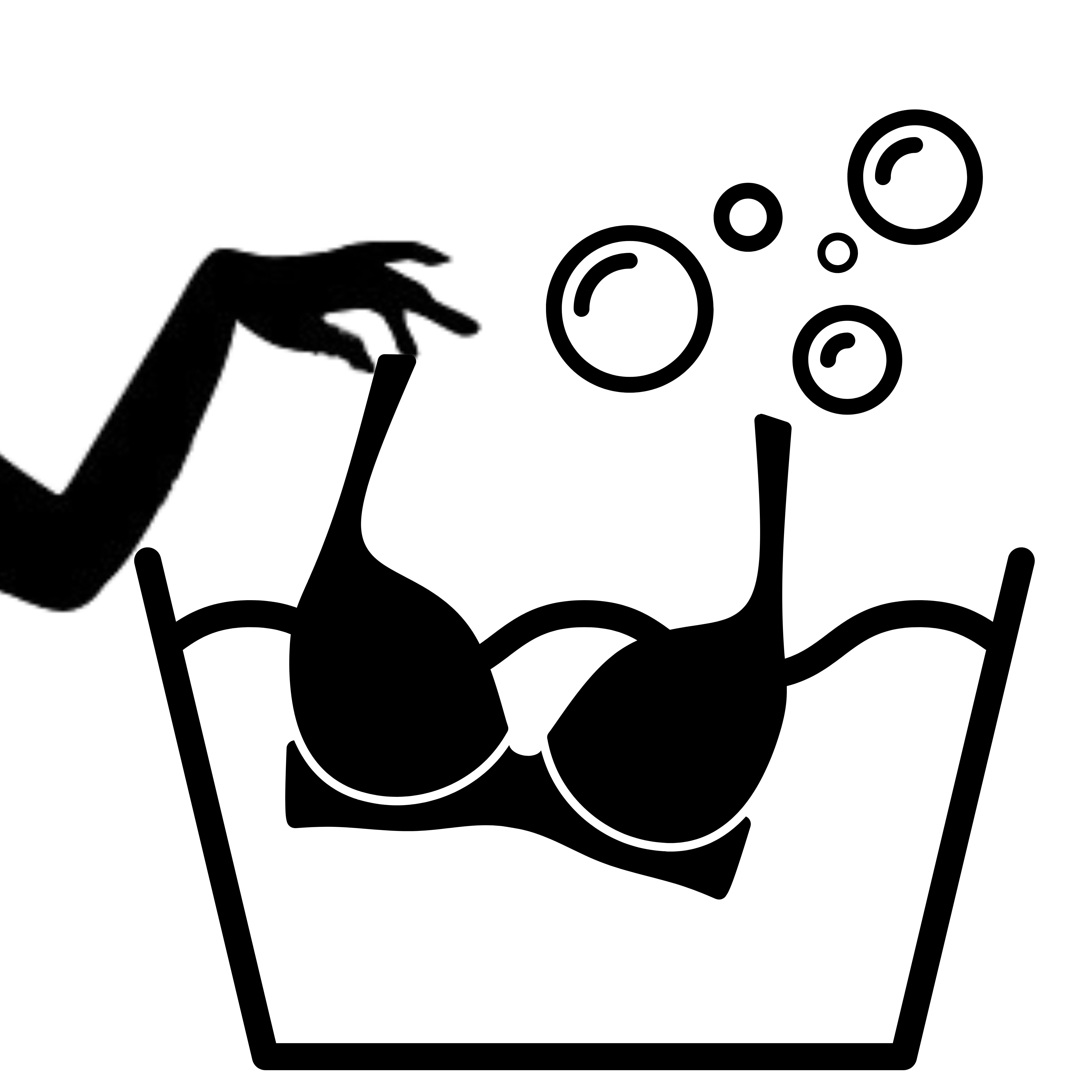 Lingerie Wash