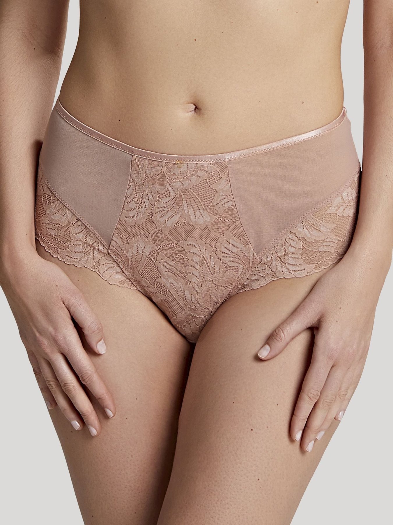 High Waisted Lace Brief Radiance Hazel 1