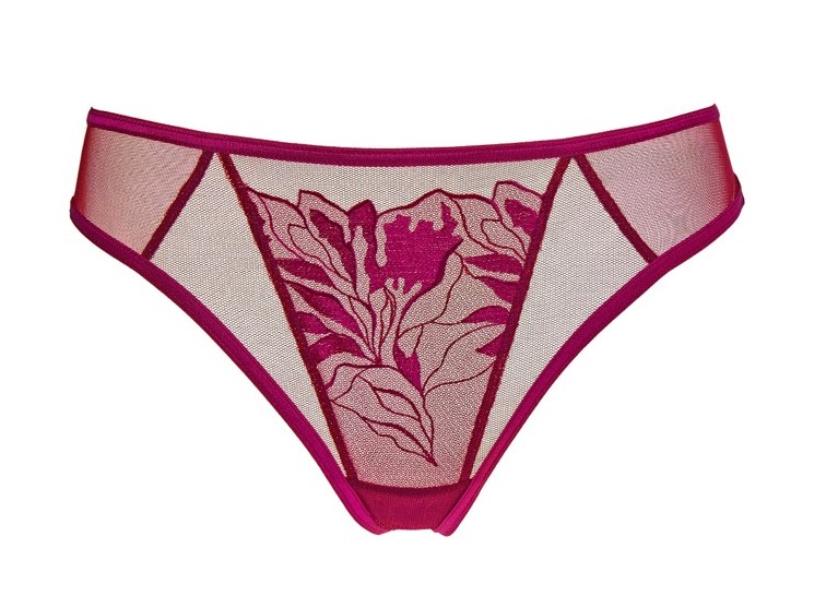 Cueca Asa Delta com Bordados Coco Dark Red
