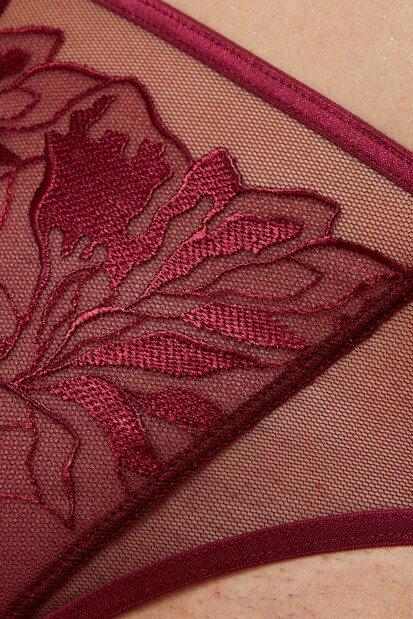 Cueca Asa Delta com Bordados Coco Dark Red 2