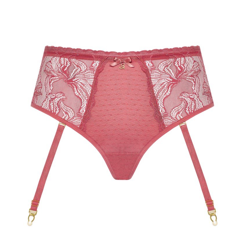 High Waist Briefs with Removable Garter Nyks Rosy